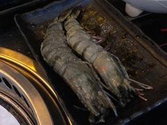 -熊出没日本烧肉放题