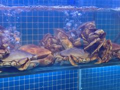 -启东小海鲜(庄先湾路1号店)