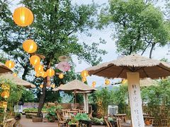 -伴山茶苑·一盏冰茶·半日山居