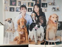 -东方动物医院·宠保定点·骨科·转诊中心(春城路·昆明站分院)