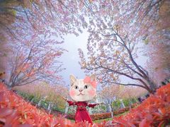 -高东镇樱花园