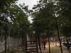 -草根堂农场