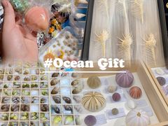 -摩登百货(岗顶店)