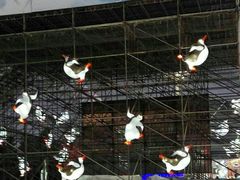 -沈阳奥体冰雪嘉年华