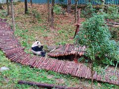 -黔灵山公园