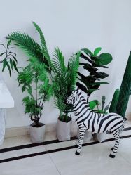 -VE专注问题肌·赛诺龙&科学美肤中心