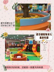 -哈尼兔儿童游戏乐园(沈阳大东龙之梦店)