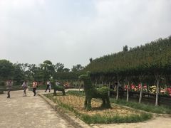 -武汉紫薇都市田园