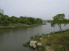 -尚贤河湿地