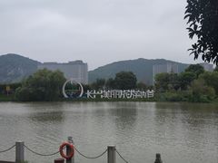 -长兴太湖图影湿地文化园