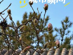 -碑林公园