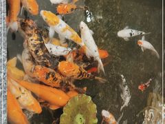 -家饰佳(宜山路店)