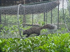 -合肥滨湖国家森林公园