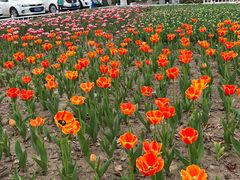 -玄武湖景区-情侣园游乐场