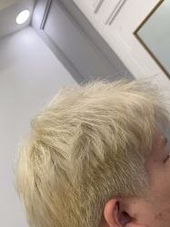 -YESIDO椰岛造型