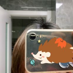 -世田造型