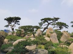 -罗红摄影艺术馆