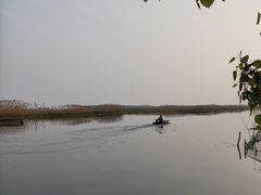 -泗洪洪泽湖湿地景区