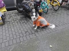 -全家便利店(孩儿巷店)