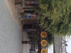 -呀路古热带植物园