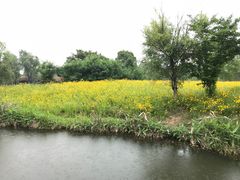 -梁鸿国家湿地公园