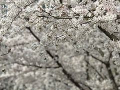 -龙美术馆(西岸馆)