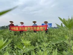 -裕和堂中医推拿艾灸(太古汇臻品店)