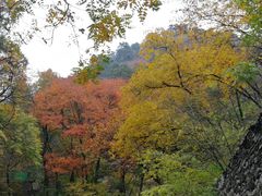 -北京上方山国家森林公园