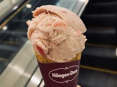 -哈根达斯(朝阳大悦城店)