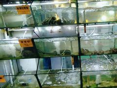-海之鲜大排档(东山海鲜金銮湾店)