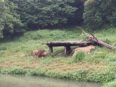 -宁波野生动物园
