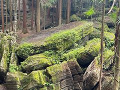 -梭布垭石林景区