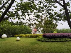 -福建鲤鱼洲酒店