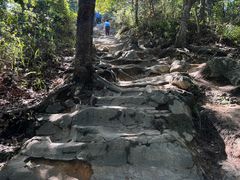 -梧桐山风景名胜区
