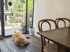 -肥朵食堂(带梦胡同店)