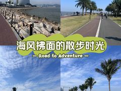 -野狸岛