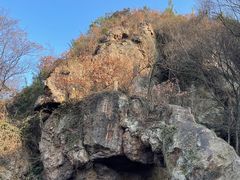 -树山生态村