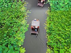 -荷塘月色湿地公园·向阳花洲