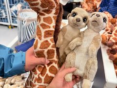 -宜家家居(哈尔滨商场店)