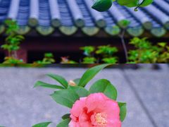 -广州神农草堂中医药博物馆