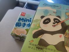 -虹桥机场国航贵宾室v8