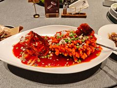 -羲和雅苑•北京烤鸭(平安国际金融中心店)