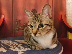 -逃脱反斗城沉浸剧情密室(北京路店)