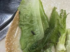 -顺德哥卜卜贝(旗舰店)