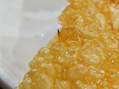 -章记正宗南岗鱼蛋火锅