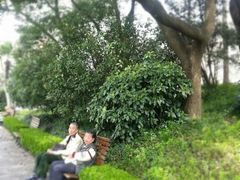 -徐家汇源景区-衡山公园