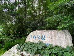 -成都市活水公园