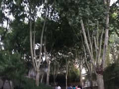 -西安市长乐公园