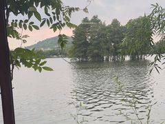 -东湖食堂·湖景餐厅•会议