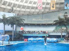 -海合安成都极地海洋公园